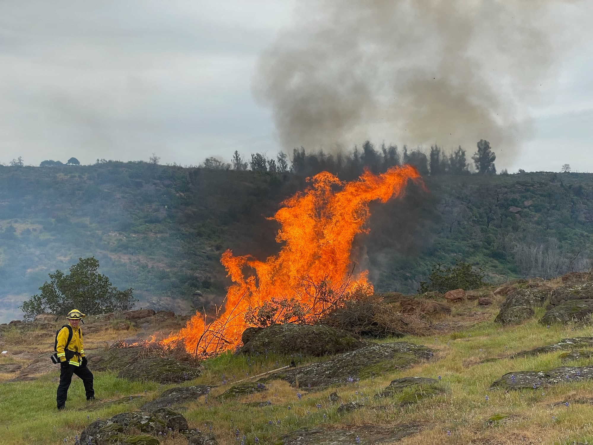 NCFF fire crews setting controlled burns to mitigate wildfire fuels