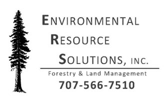 Environmental resource solutions logo with black tree