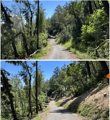 Roadside clean up with overgrowth trees and brush before and after with clearer roads and cut down trees and brush