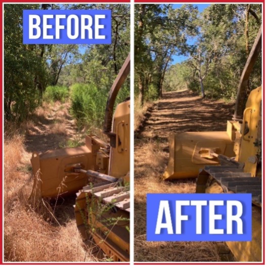 before and after looks of brush covers road with dozer