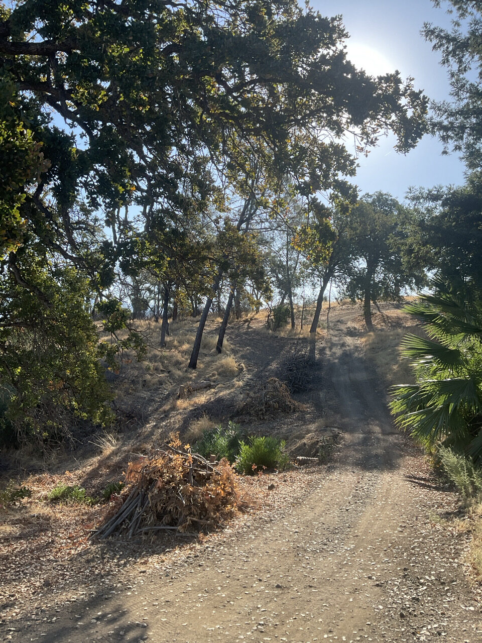 Defensible Space Fuel Break for community of Berryessa Pines