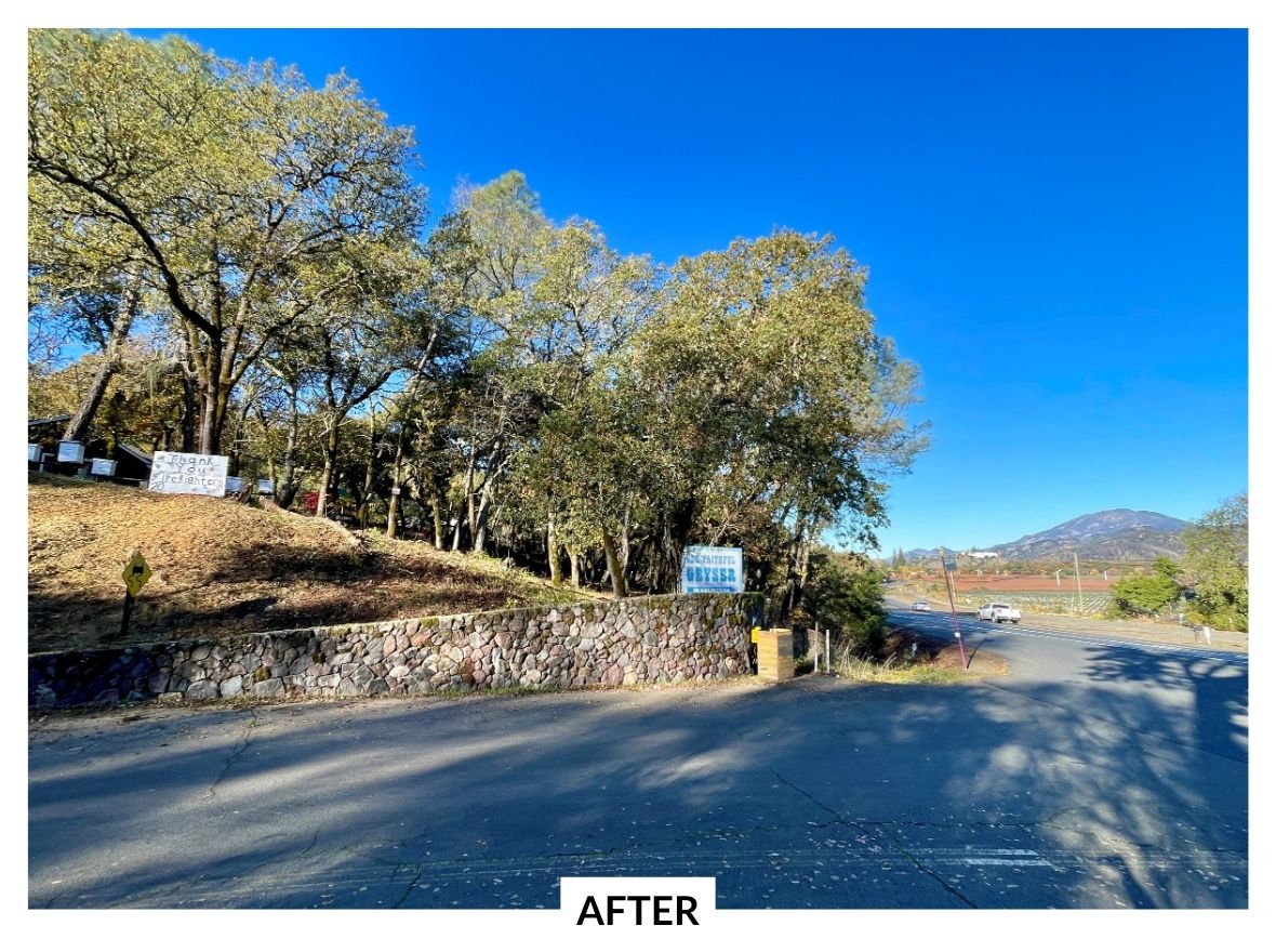 Tucker Acres cleared roadside