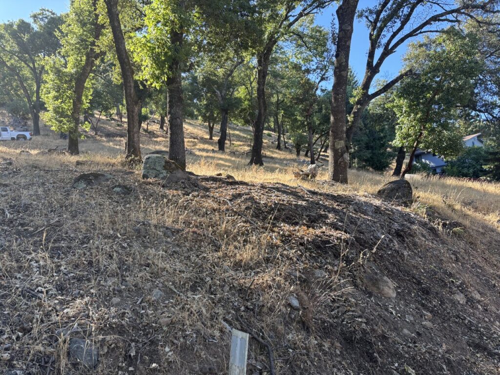 Circle Oaks Perimeter Fuel Break