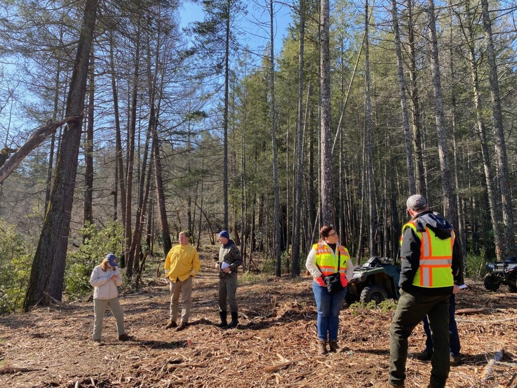 Napa’s Howell Mountain Corridor: Forest Ecotone and Fire Resiliency Restoration