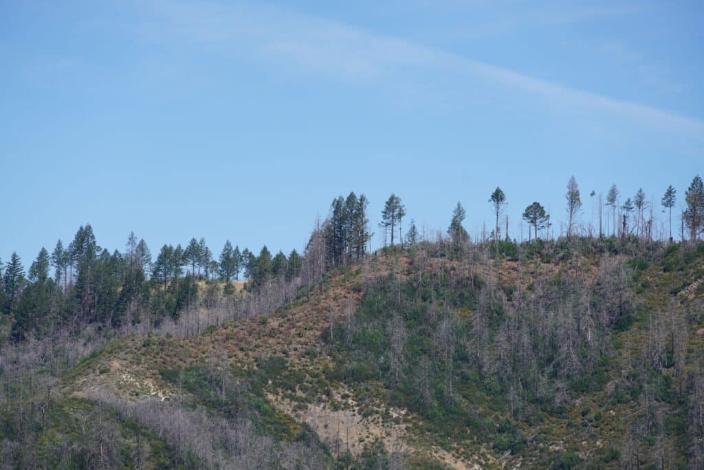 Reducing Hazardous Fuels along Critical County Borders