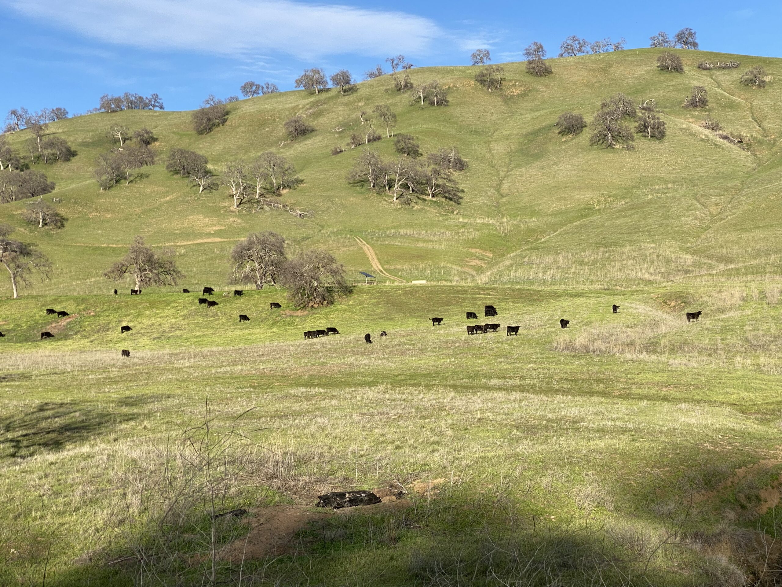 Lake Berryessa Ranch 2023