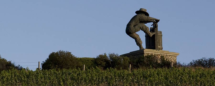 Napa Valley Vintners