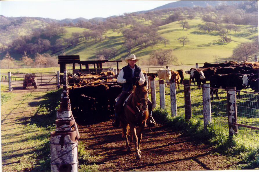Lake Berryessa Ranch 2023