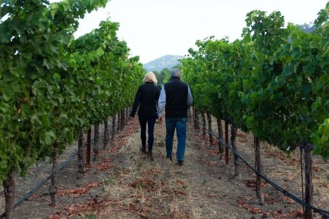 The Araujos in the Vineyard