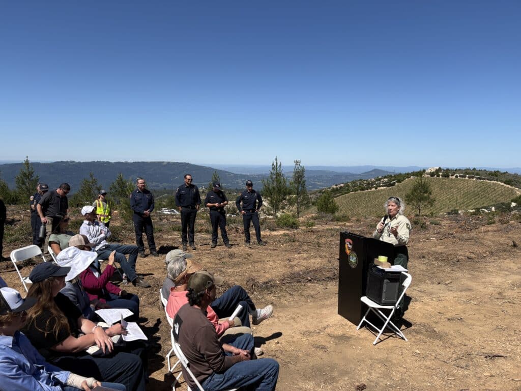 Hogback Priority Fuel Break